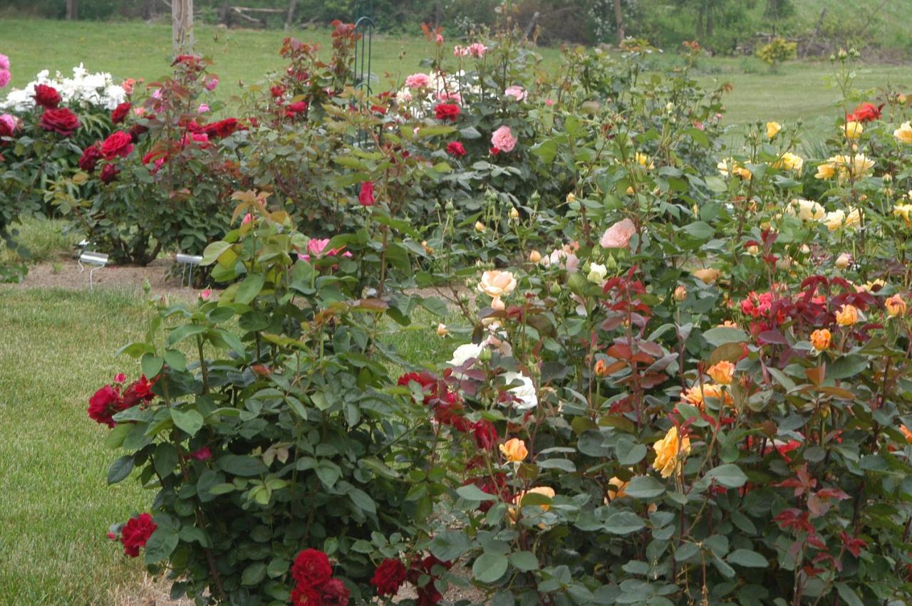Annville Inn Bed & Breakfast Esterno foto