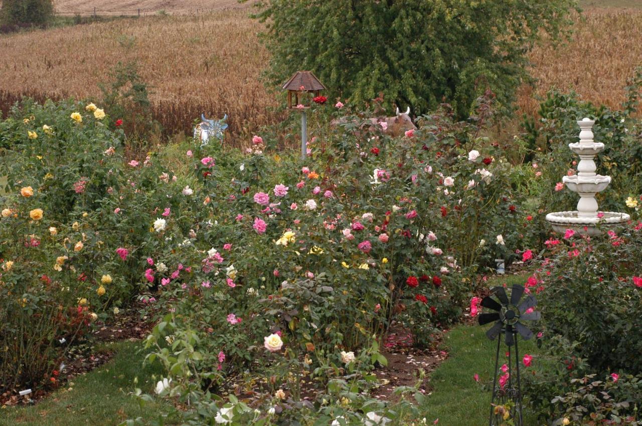 Annville Inn Bed & Breakfast Esterno foto