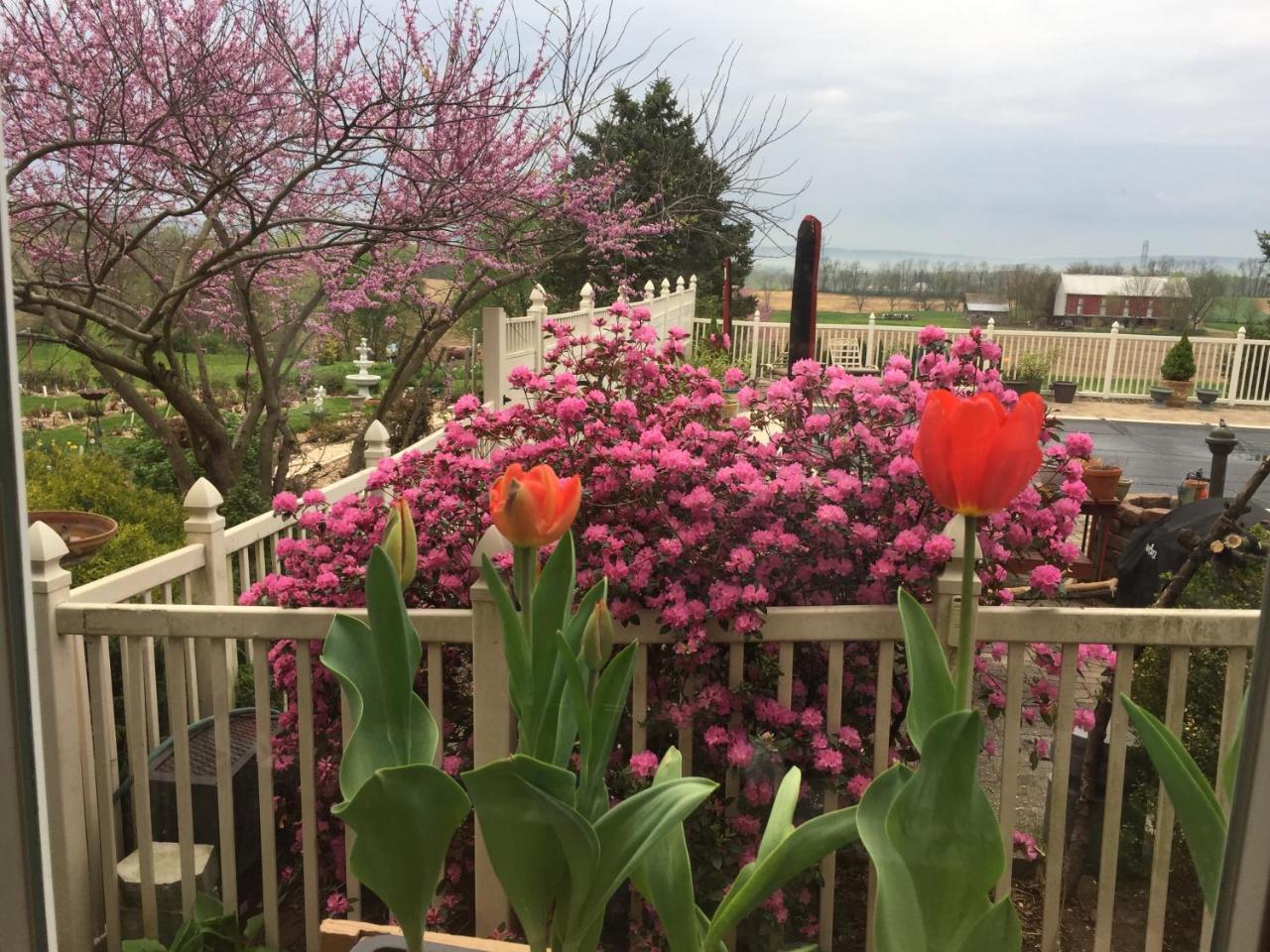 Annville Inn Bed & Breakfast Esterno foto